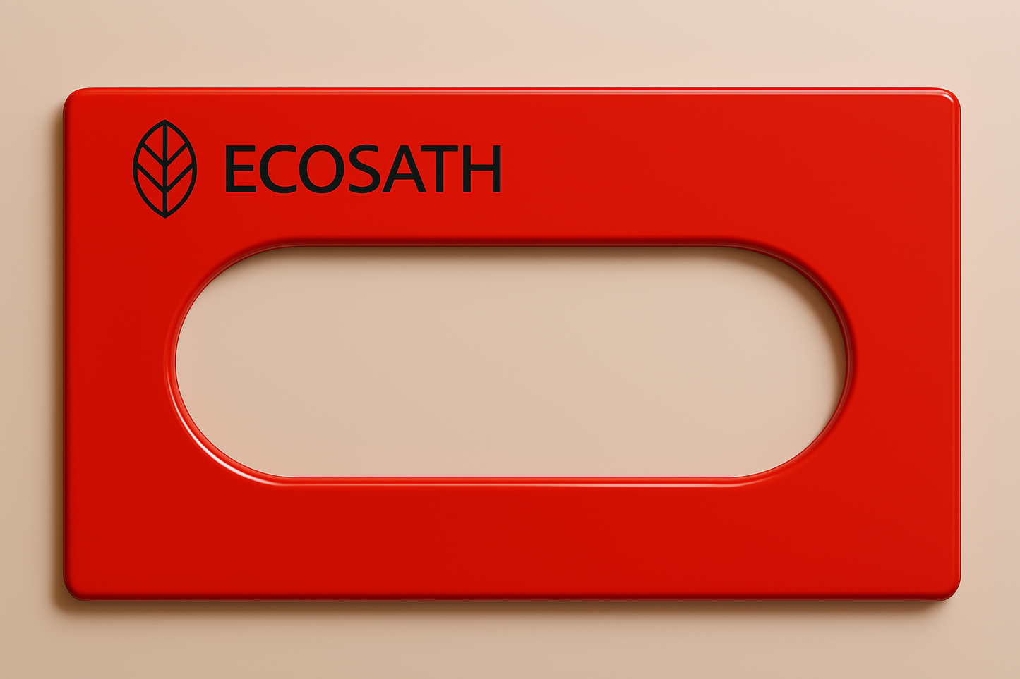 Cadre ECOSATH 4 POSTE H